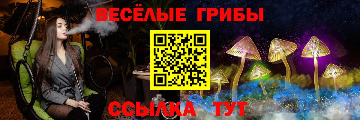 Егорьевск  Псилоцибиновые грибы прущие грибы  Псилоцибиновые грибы GOLDEN TEACHER  Вход с VPN 