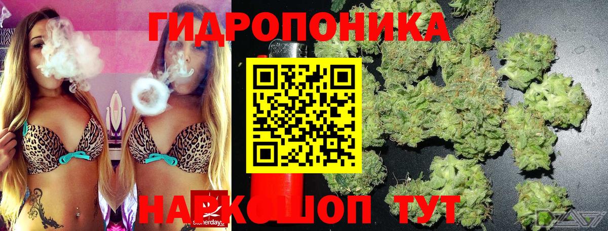 Шишки марихуана MAZAR Егорьевск